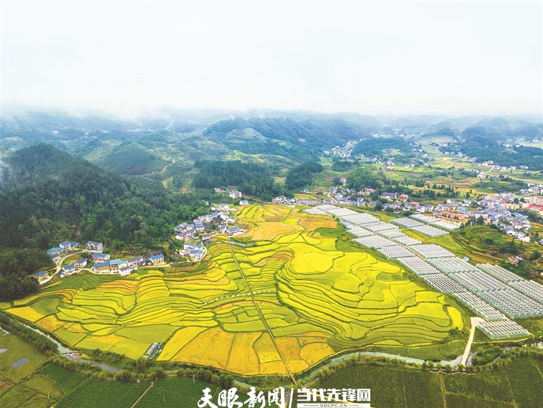 17506500624726.jpg 花茂村田园风光美如画。 罗星汉 摄.jpg